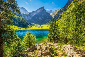 Bild Nr.2 zum Thema: Faszienwelt in Appenzell